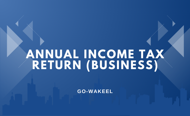 Annual Income Tax Return (Business)